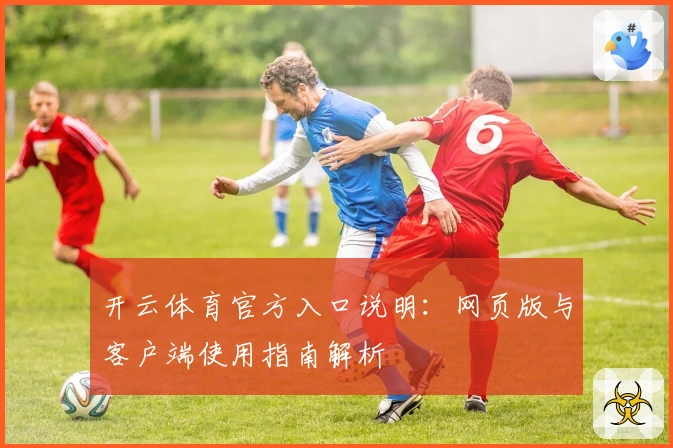 开云体育官方入口说明：网页版与客户端使用指南解析