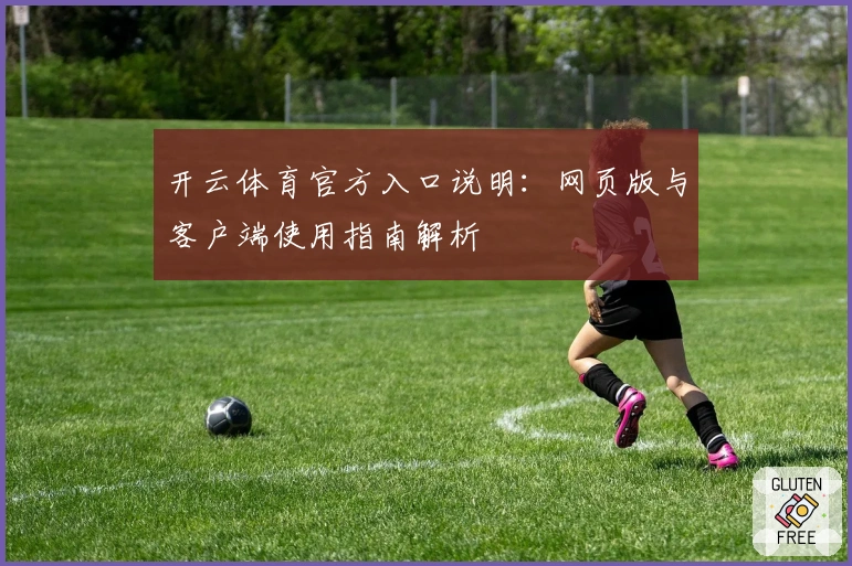 开云体育官方入口说明：网页版与客户端使用指南解析